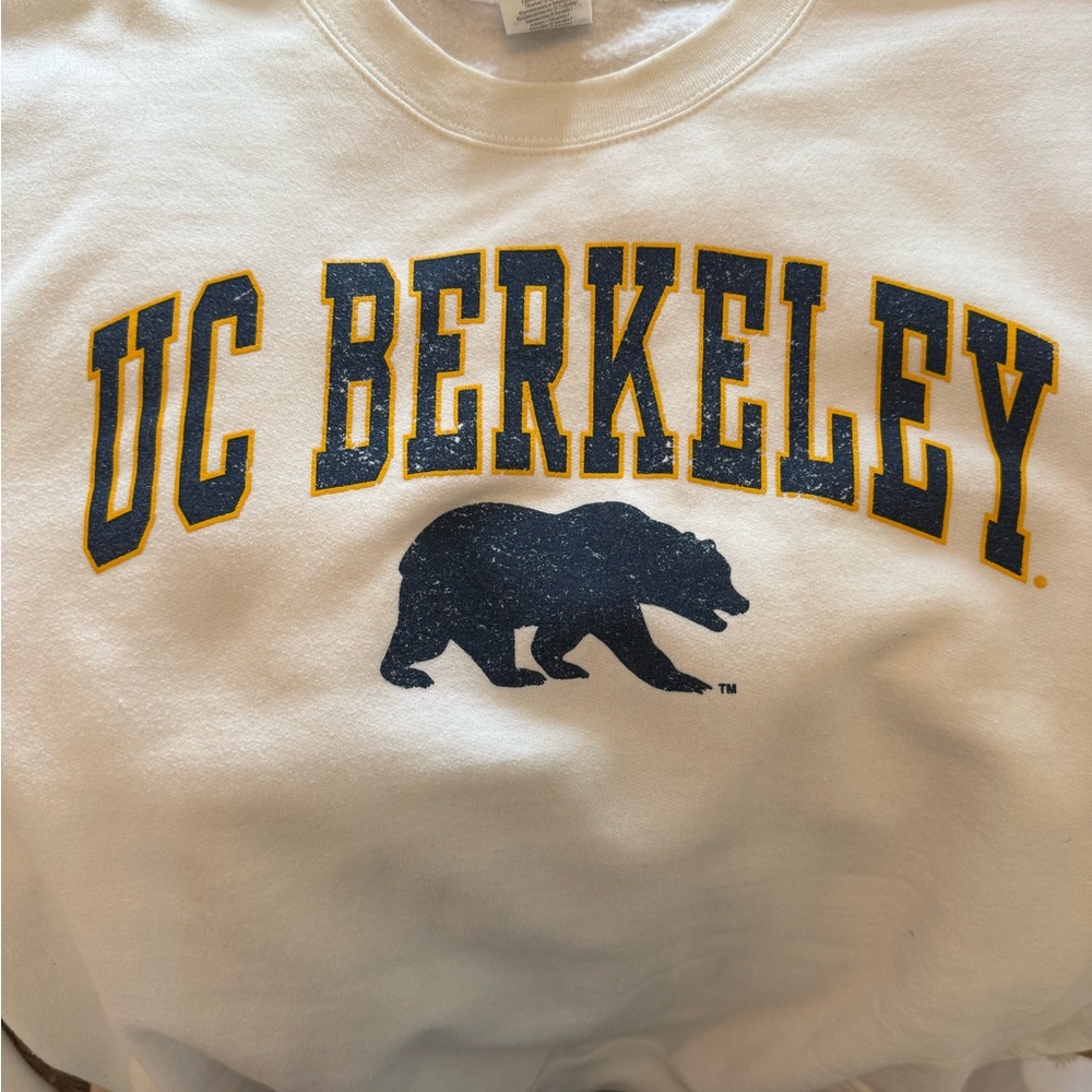 UC BERKELEY crewneck